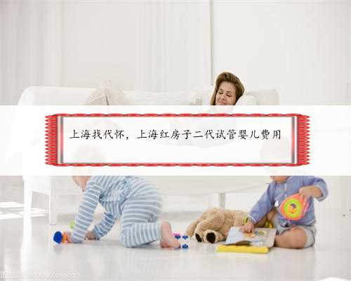 上海找代怀，上海红房子二代试管婴儿费用